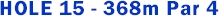 15hd.jpg (6867 bytes)