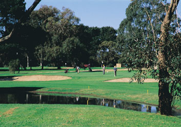Welcome to beautiful Portarlington!