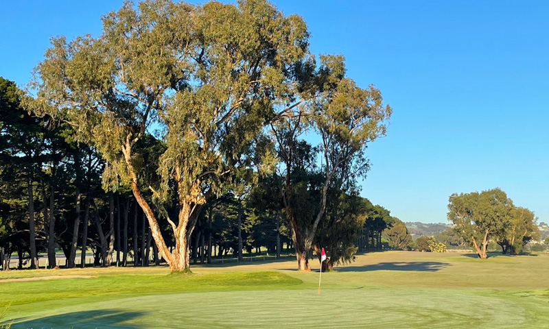 Senior Membership
