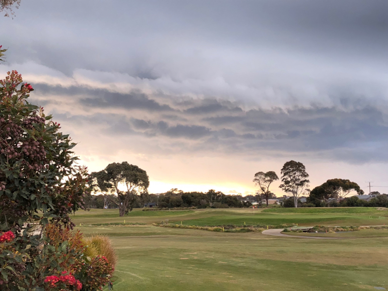 club image