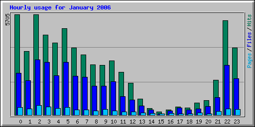 Hourly usage for January 2006